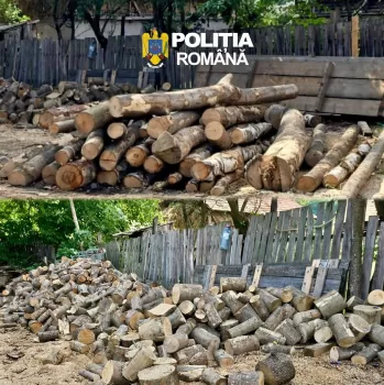 lemn politia