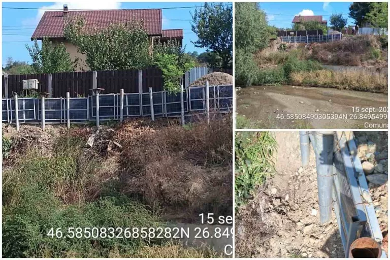 panouri margineni