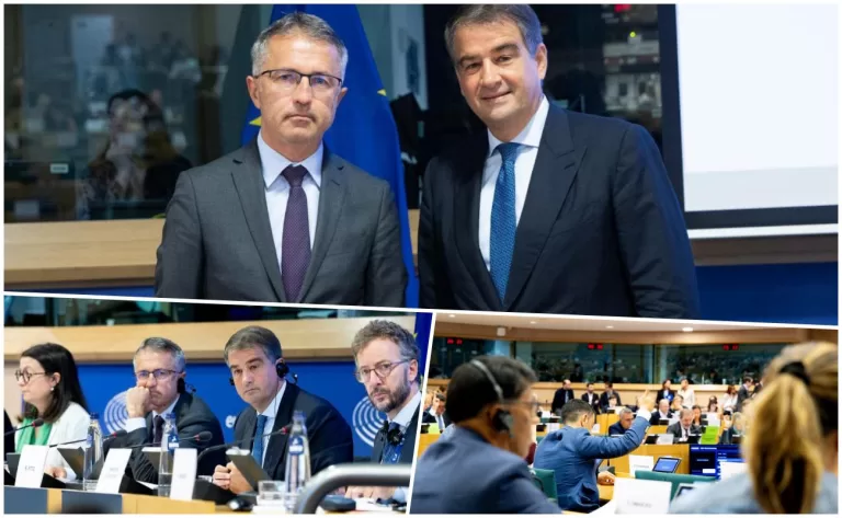Dragos Benea Raffaele Fitto bruxelles