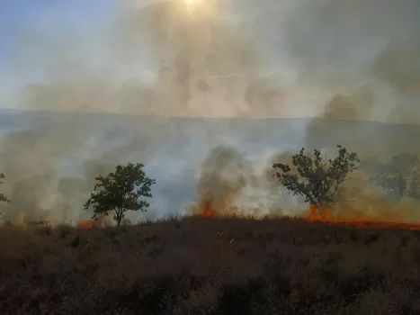 incendiu vegetatie
