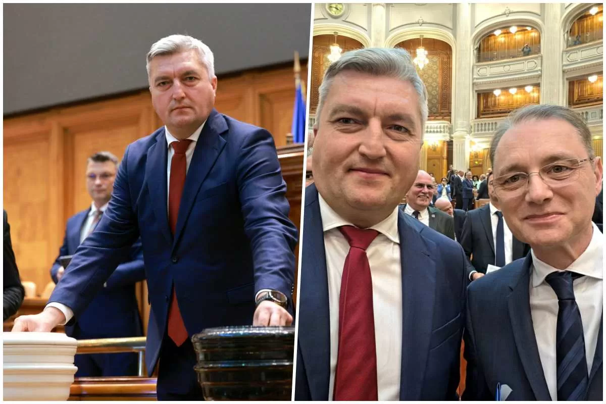 lucian bogdanel vot luca niculescu